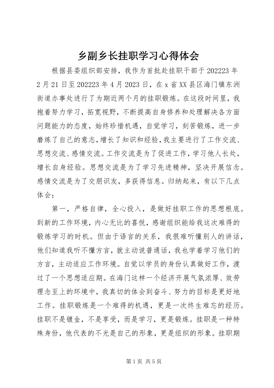 2023年乡副乡长挂职学习心得体会.docx_第1页