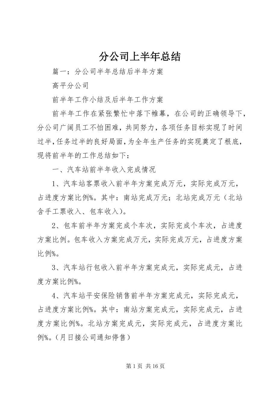 2023年分公司上半年总结.docx_第1页