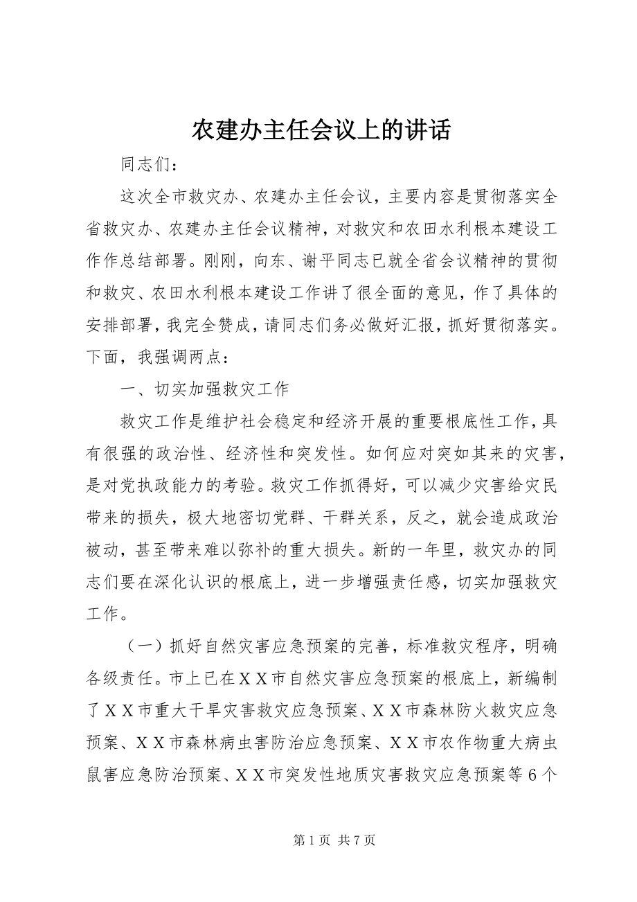 2023年农建办主任会议上的致辞.docx_第1页