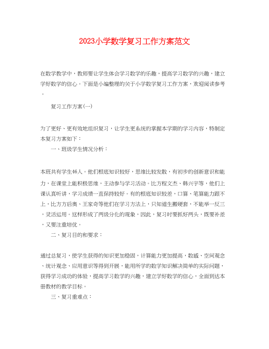 2023年小学数学复习工作计划.docx_第1页