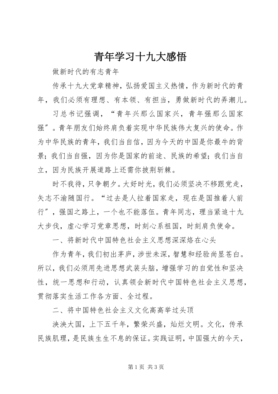 2023年青年学习十九大感悟.docx_第1页