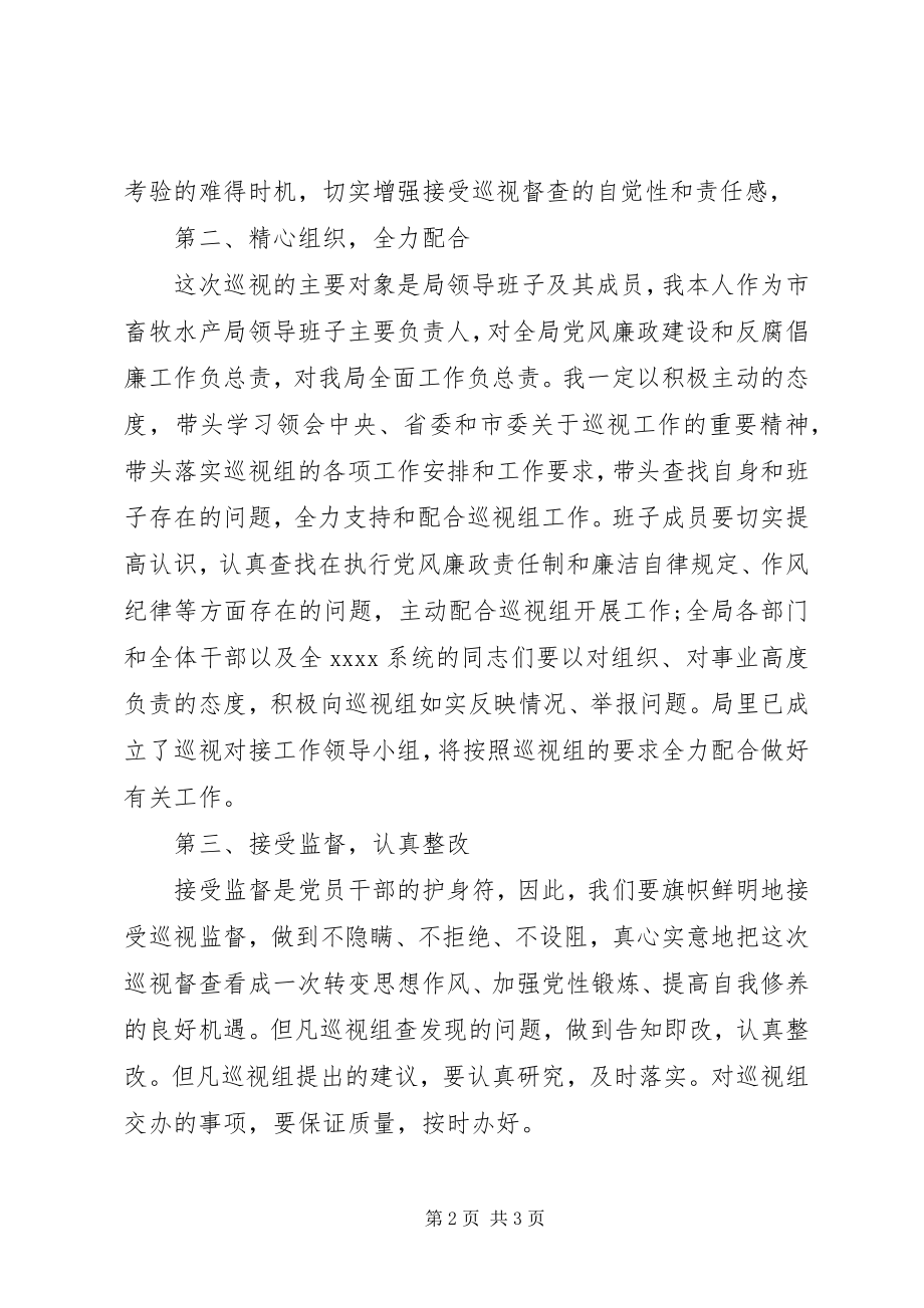 2023年在巡视工作反馈会上的表态讲话.docx_第2页