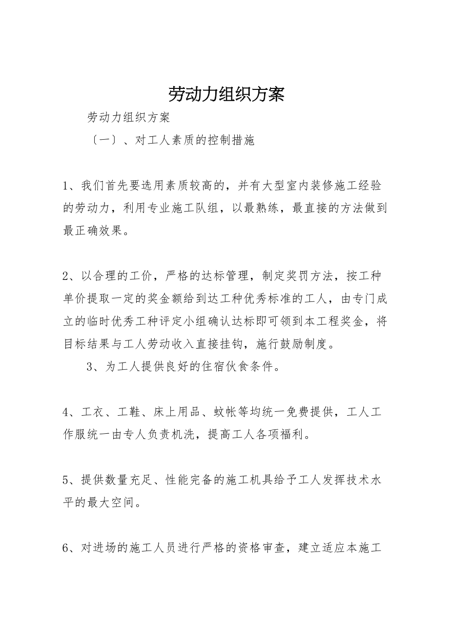 2023年劳动力组织计划.doc_第1页