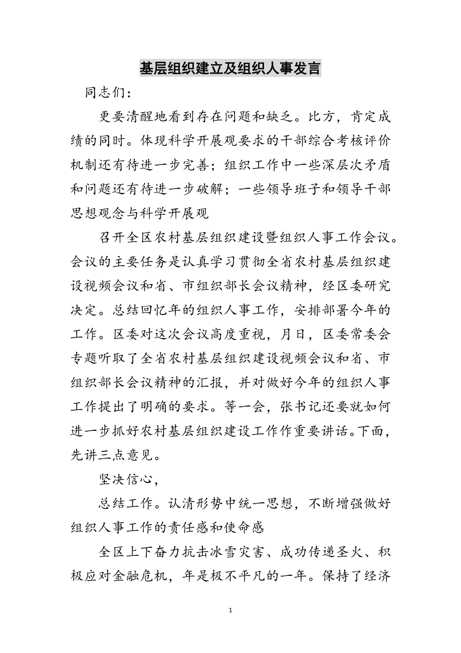 2023年基层组织建立及组织人事发言范文.doc_第1页