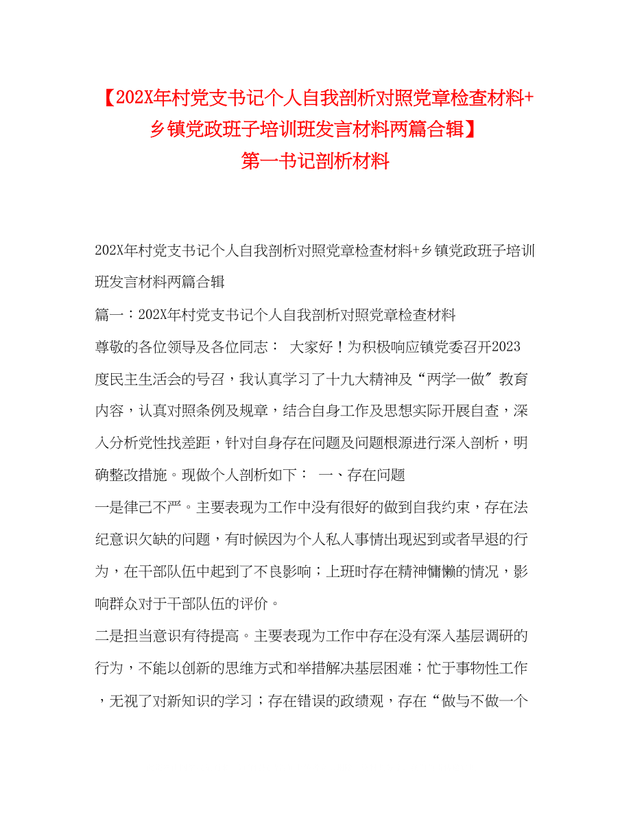 2023年2村党支书记个人自我剖析对照党章检查材料乡镇党政班子培训班发言材料两篇合辑第一书记剖析材料.docx_第1页