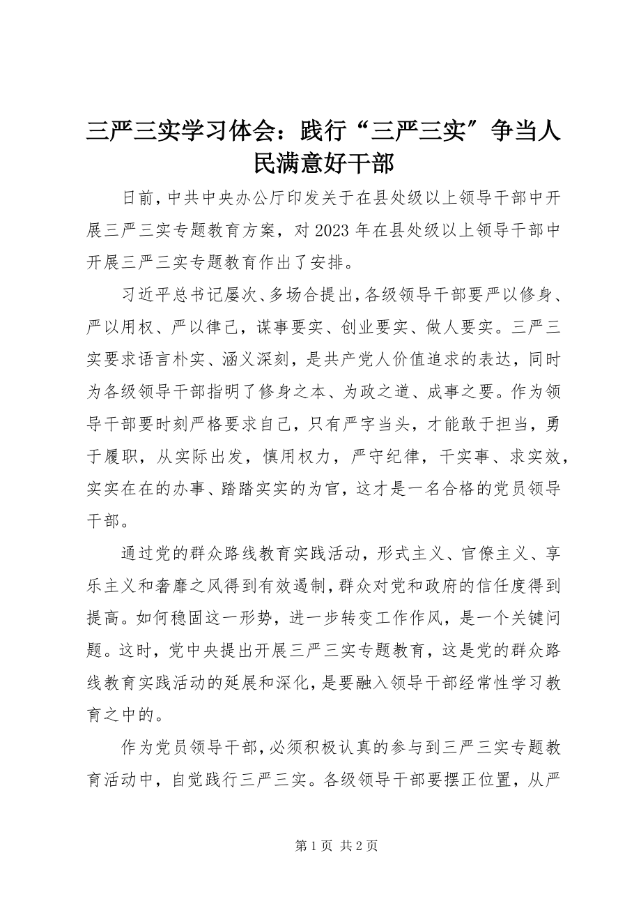 2023年三严三实学习体会践行“三严三实”争当人民满意好干部2.docx_第1页