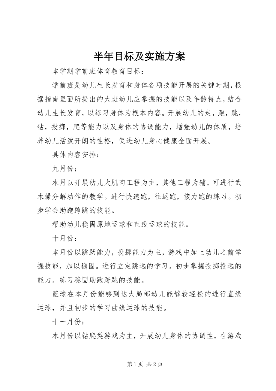 2023年半年目标及实施计划新编.docx_第1页