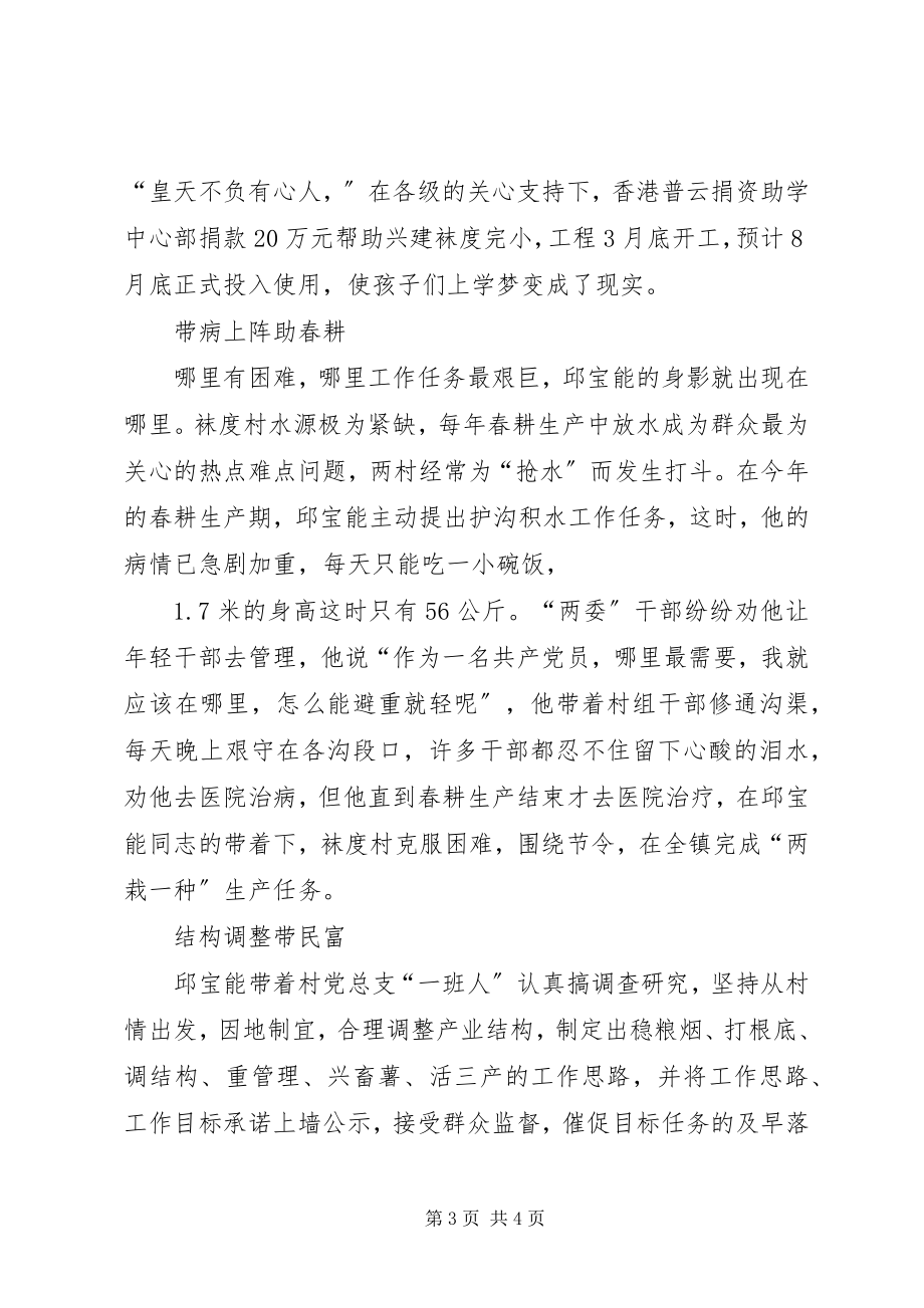 2023年记旧县镇袜度村党总支书记邱宝能.docx_第3页