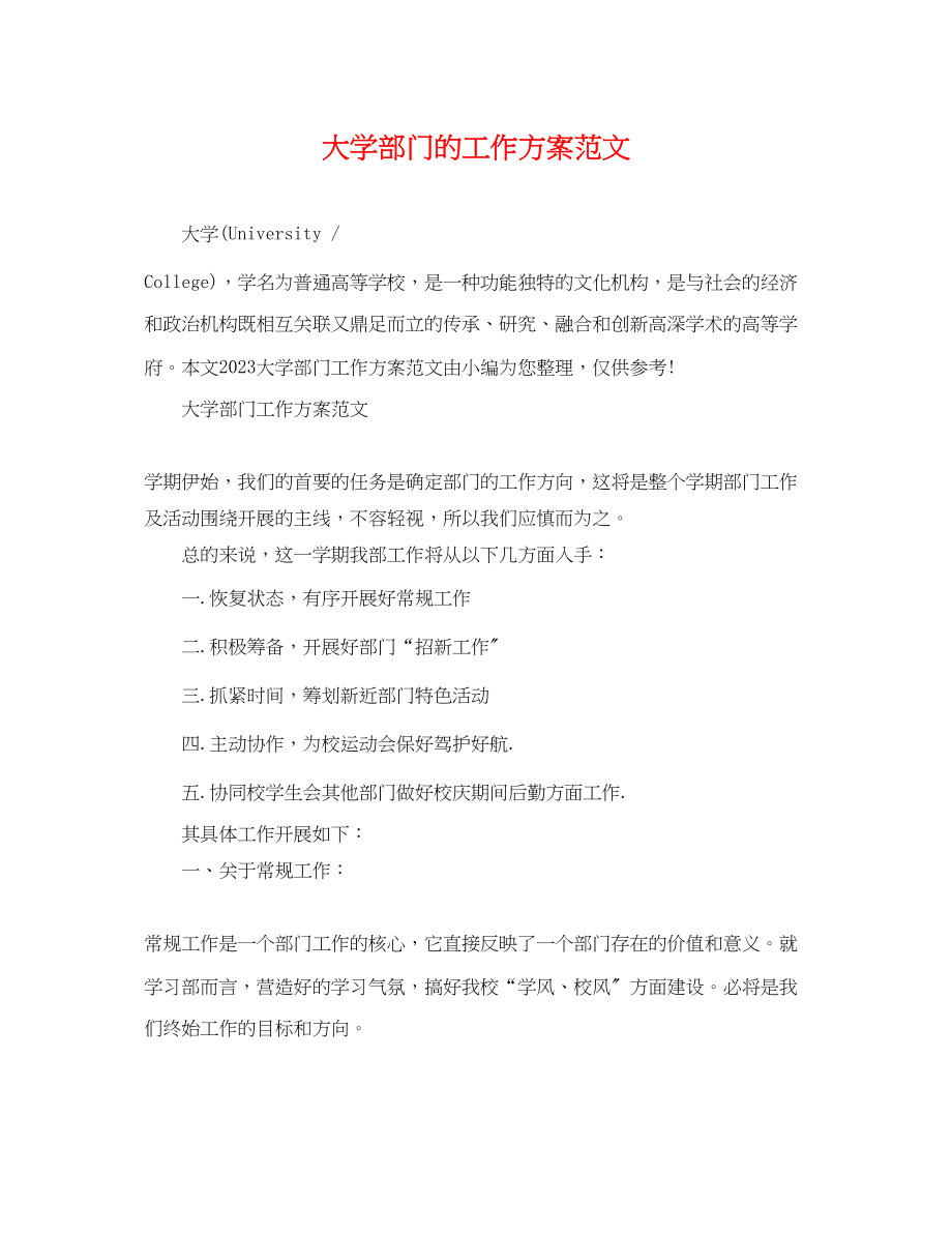 2023年大学部门的工作计划.docx_第1页