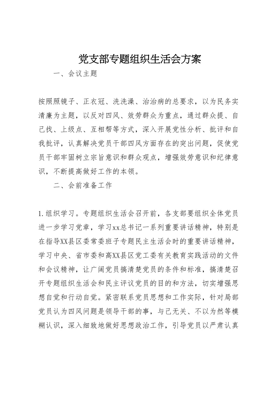 2023年党支部专题组织生活会方案.doc_第1页