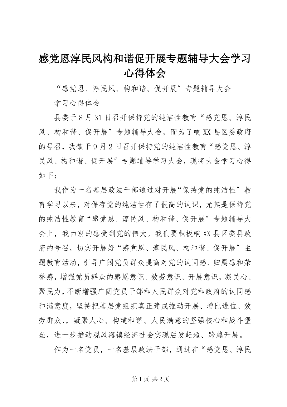 2023年感党恩淳民风构和谐促发展专题辅导大会学习心得体会.docx_第1页