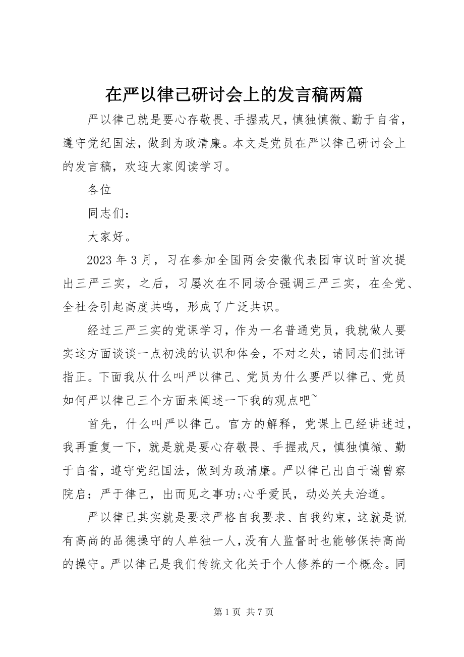 2023年在严以律己研讨会上的讲话稿两篇.docx_第1页