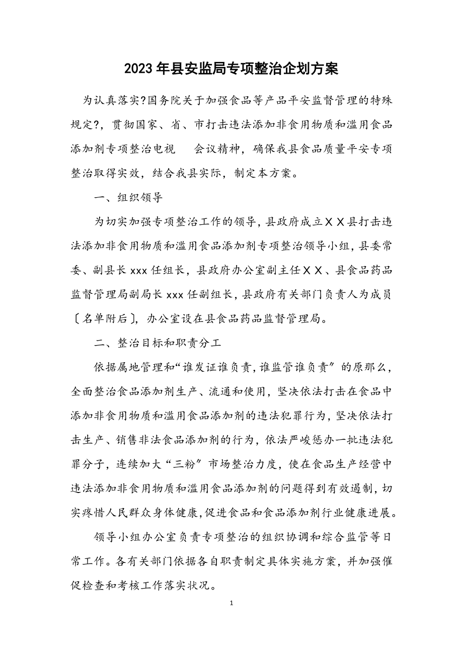 2023年县安监局专项整治企划方案.docx_第1页