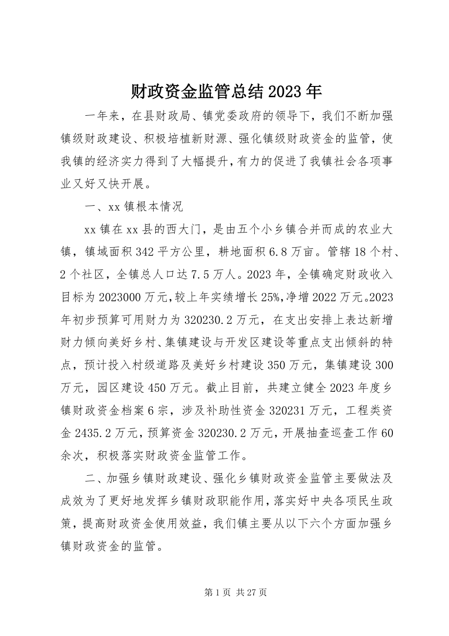 2023年财政资金监管总结.docx_第1页