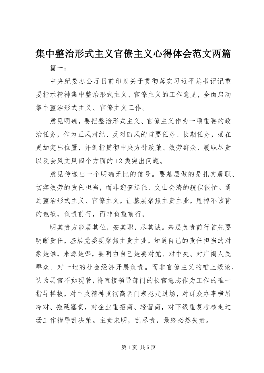 2023年集中整治形式主义官僚主义心得体会两篇.docx_第1页