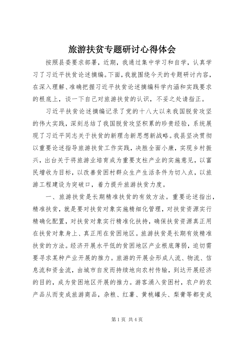 2023年旅游扶贫专题研讨心得体会.docx_第1页