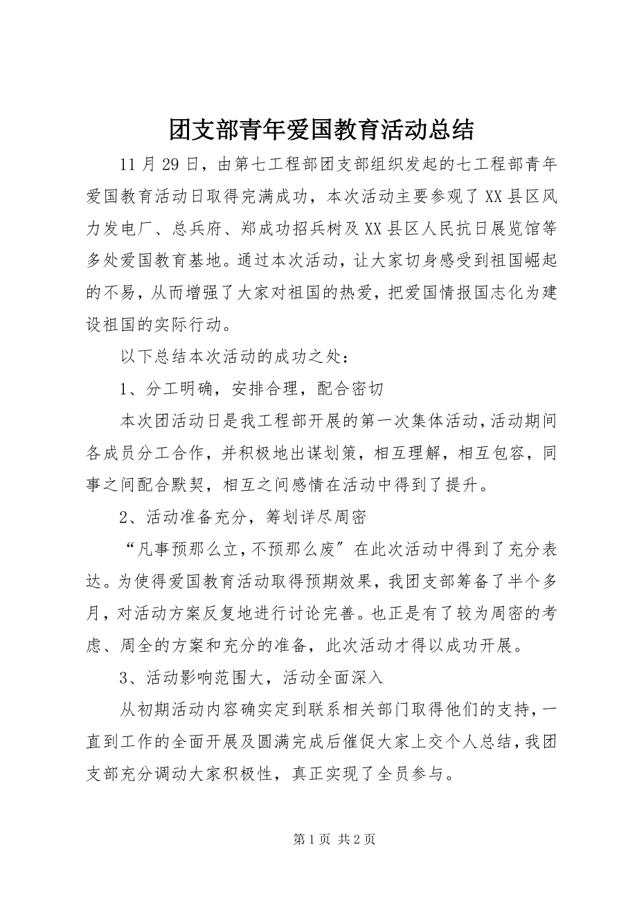 2023年团支部青年爱国教育活动总结.docx_第1页