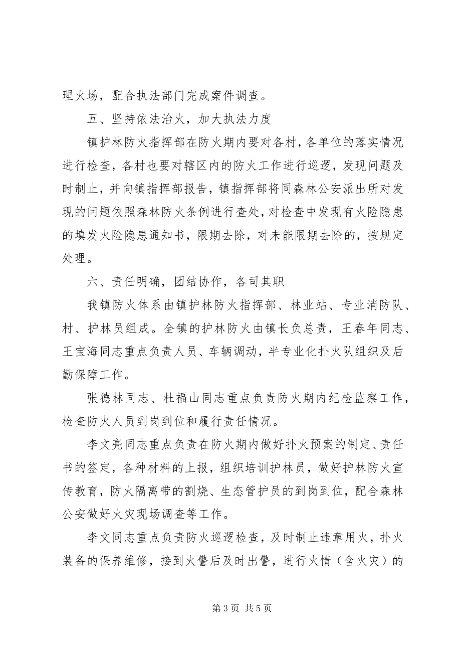 2023年护林防火工作计划.docx_第3页