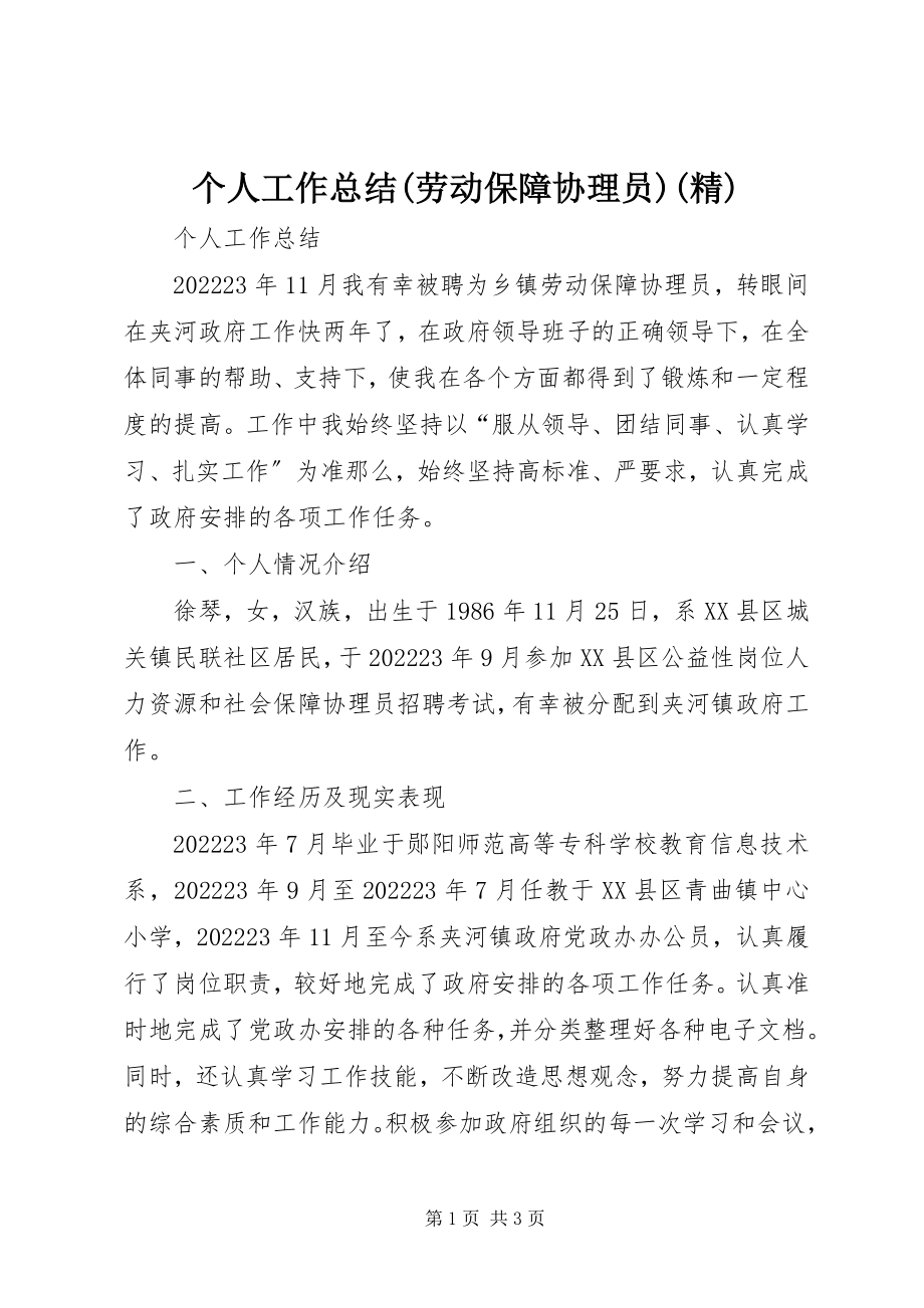 2023年个人工作总结劳动保障协理员精.docx_第1页