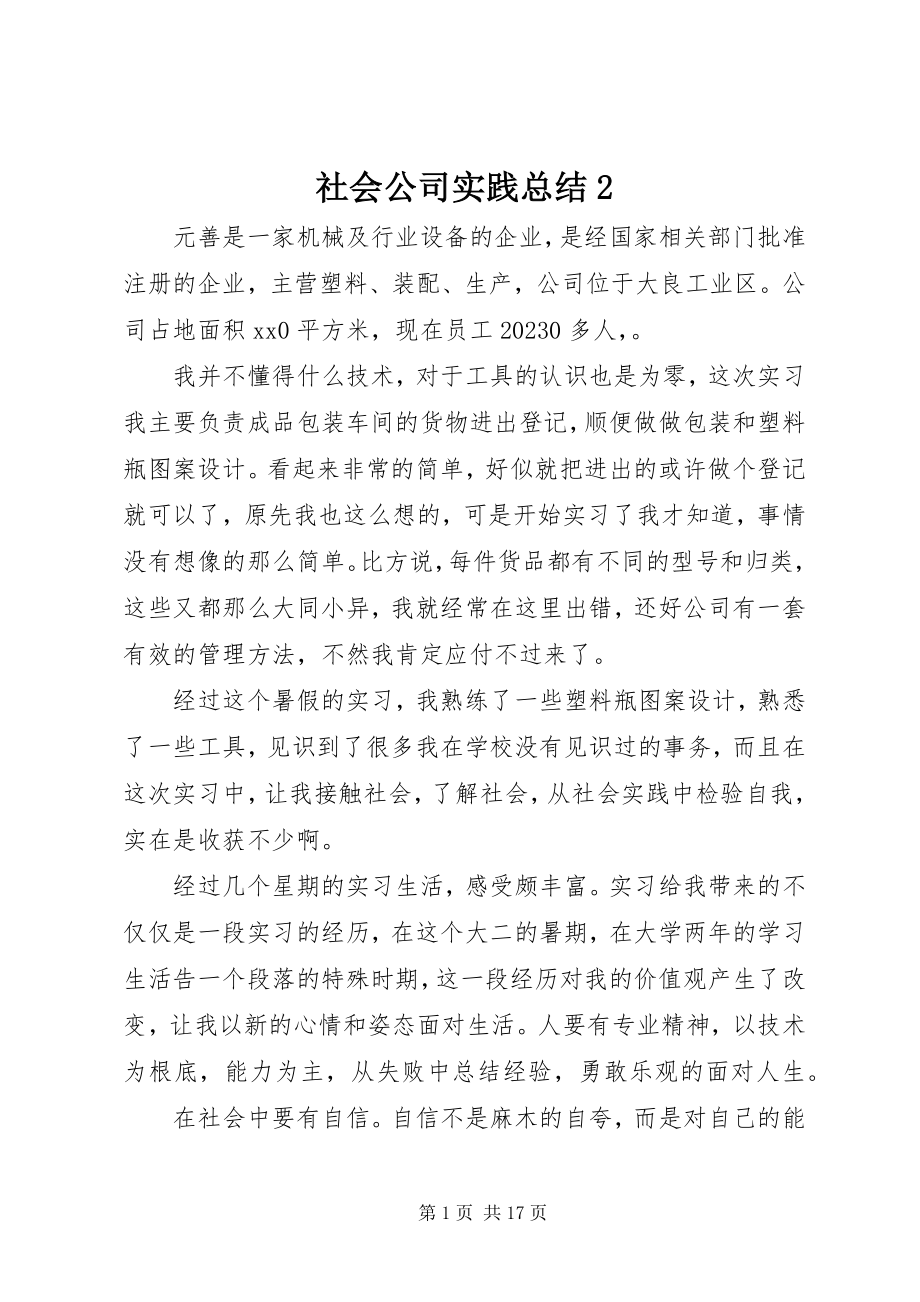 2023年社会公司实践总结2.docx_第1页