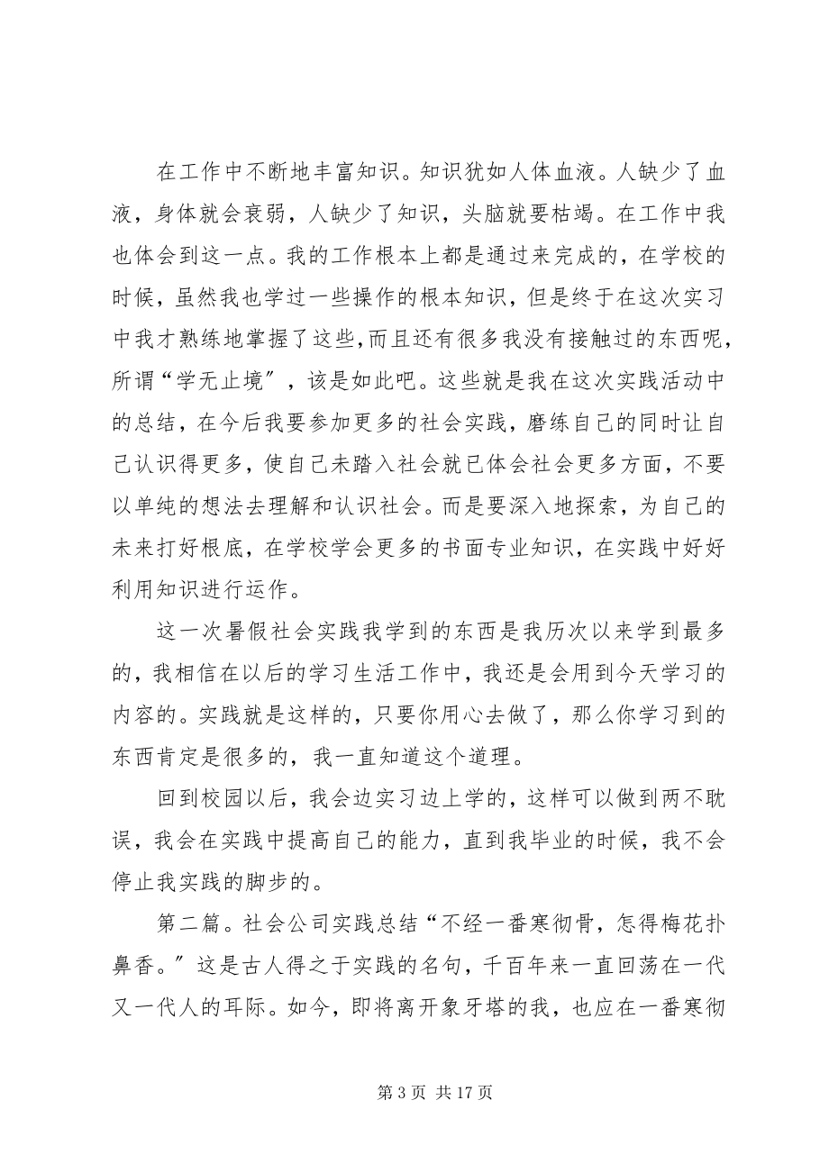 2023年社会公司实践总结2.docx_第3页