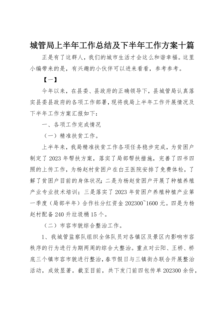 2023年城管局上半年工作总结及下半年工作计划十篇.docx_第1页