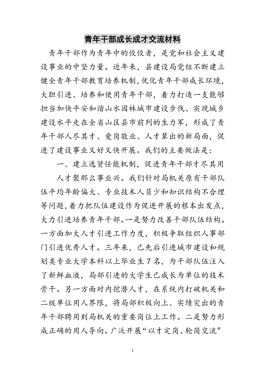 2023年青年干部成长成才交流材料范文.doc_第1页