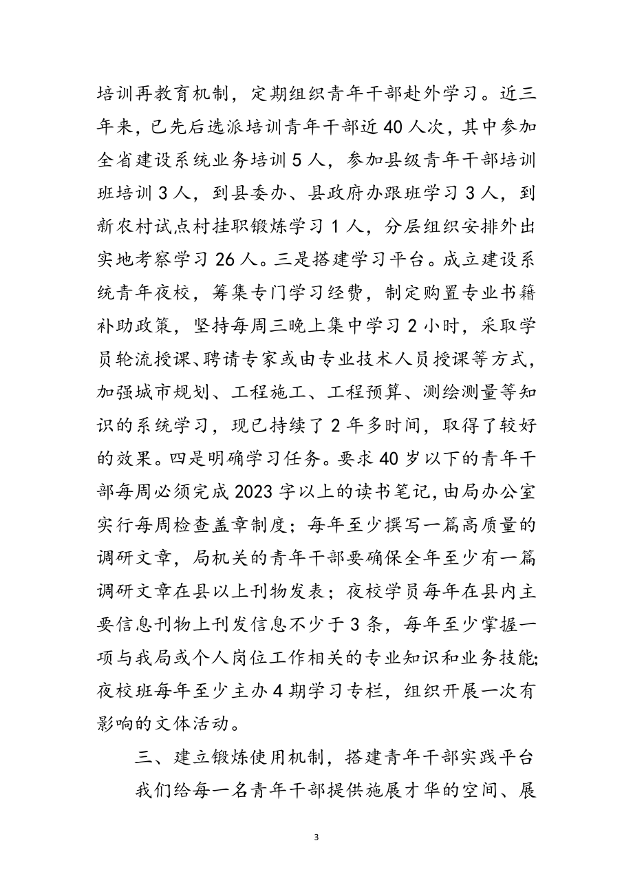 2023年青年干部成长成才交流材料范文.doc_第3页