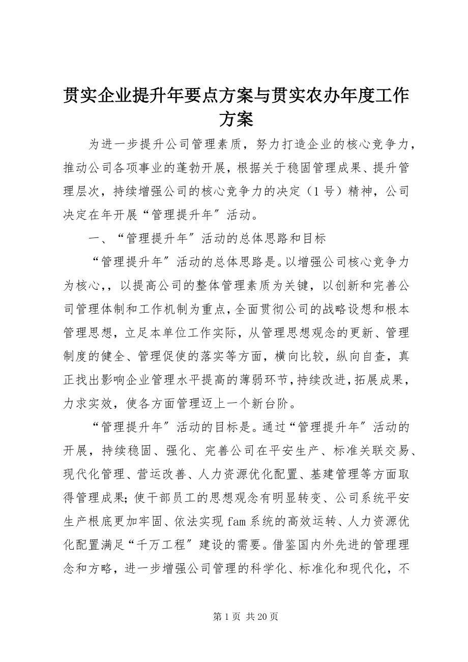 2023年贯实企业提升要点计划与贯实农办度工作计划.docx_第1页