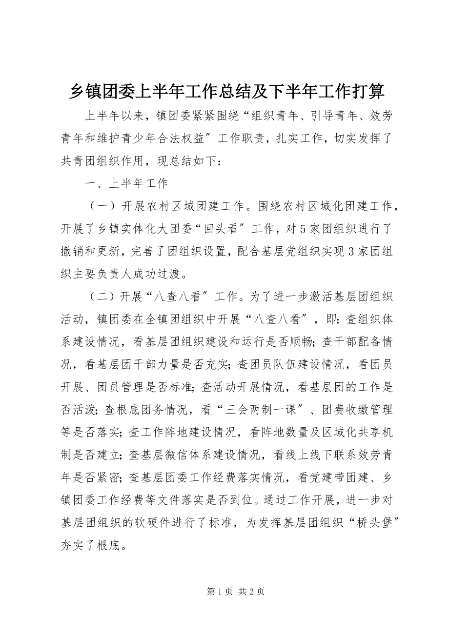 2023年乡镇团委上半年工作总结及下半年工作打算.docx_第1页