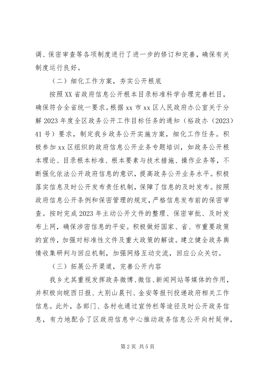 2023年乡政务公开工作总结.docx_第2页