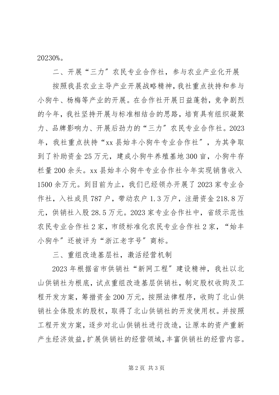 2023年供销社领导班子工作总结.docx_第2页