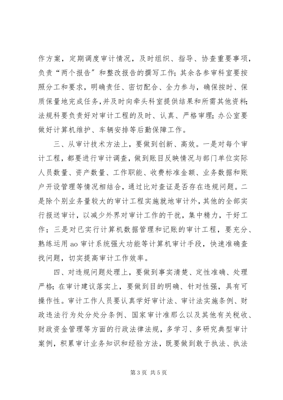 2023年财政审计构建经验交流材料.docx_第3页