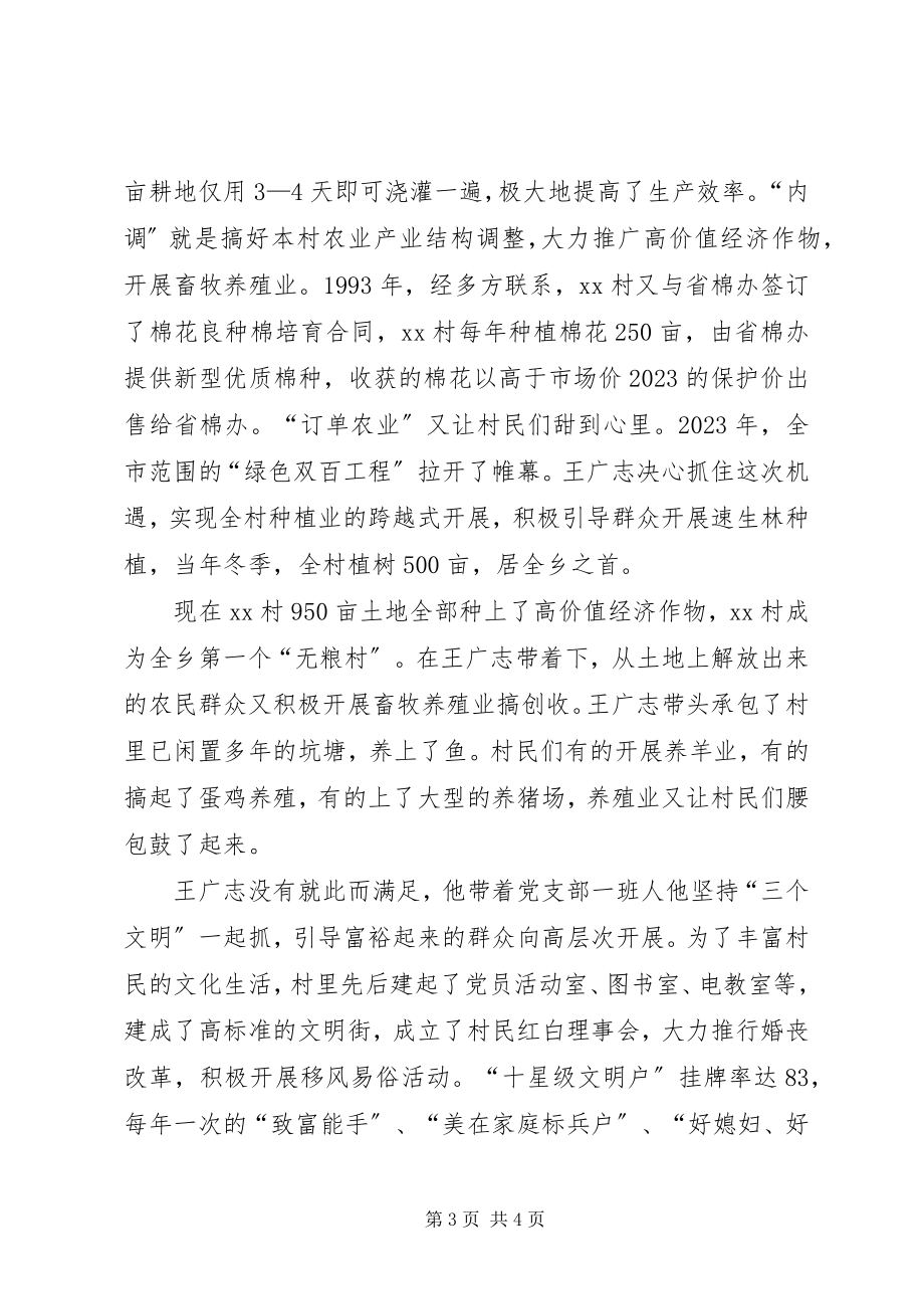 2023年记村党支部书记典型事迹材料.docx_第3页