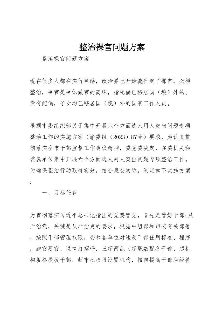 2023年整治裸官问题方案.doc_第1页