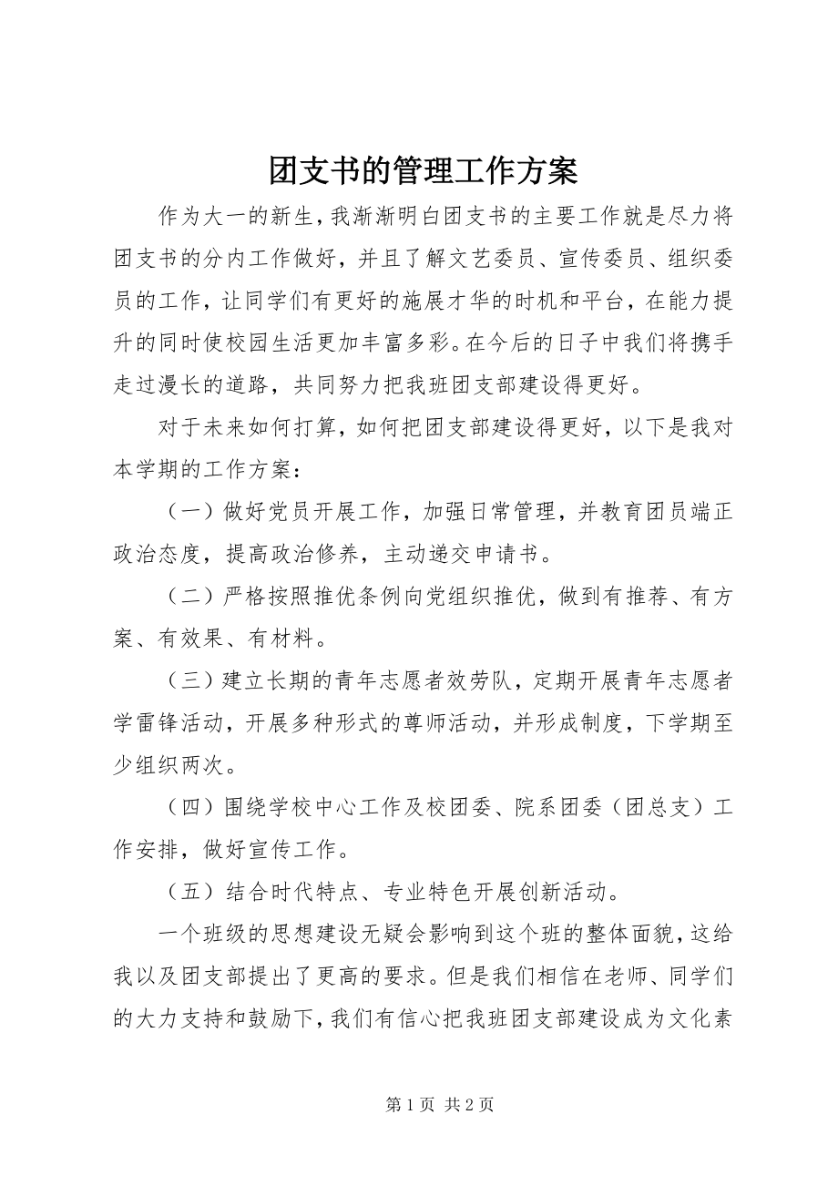 2023年团支书的管理工作计划.docx_第1页