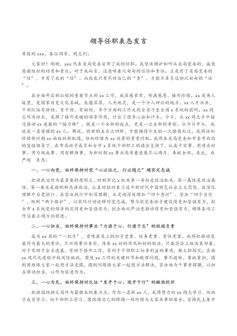 2023年领导任职表态发言.doc_第1页