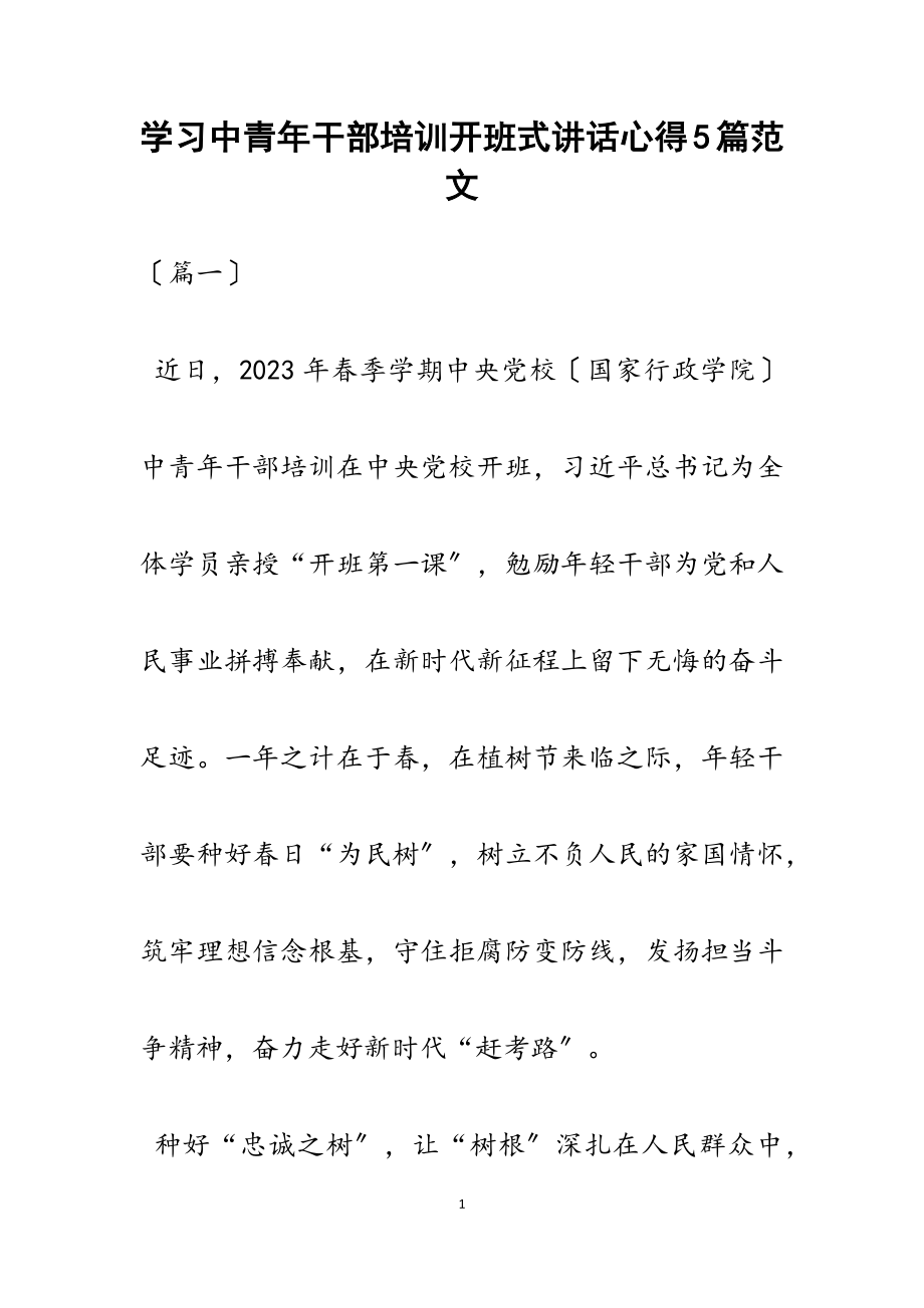 2023年学习中青年干部培训开班式讲话心得5篇.docx_第1页