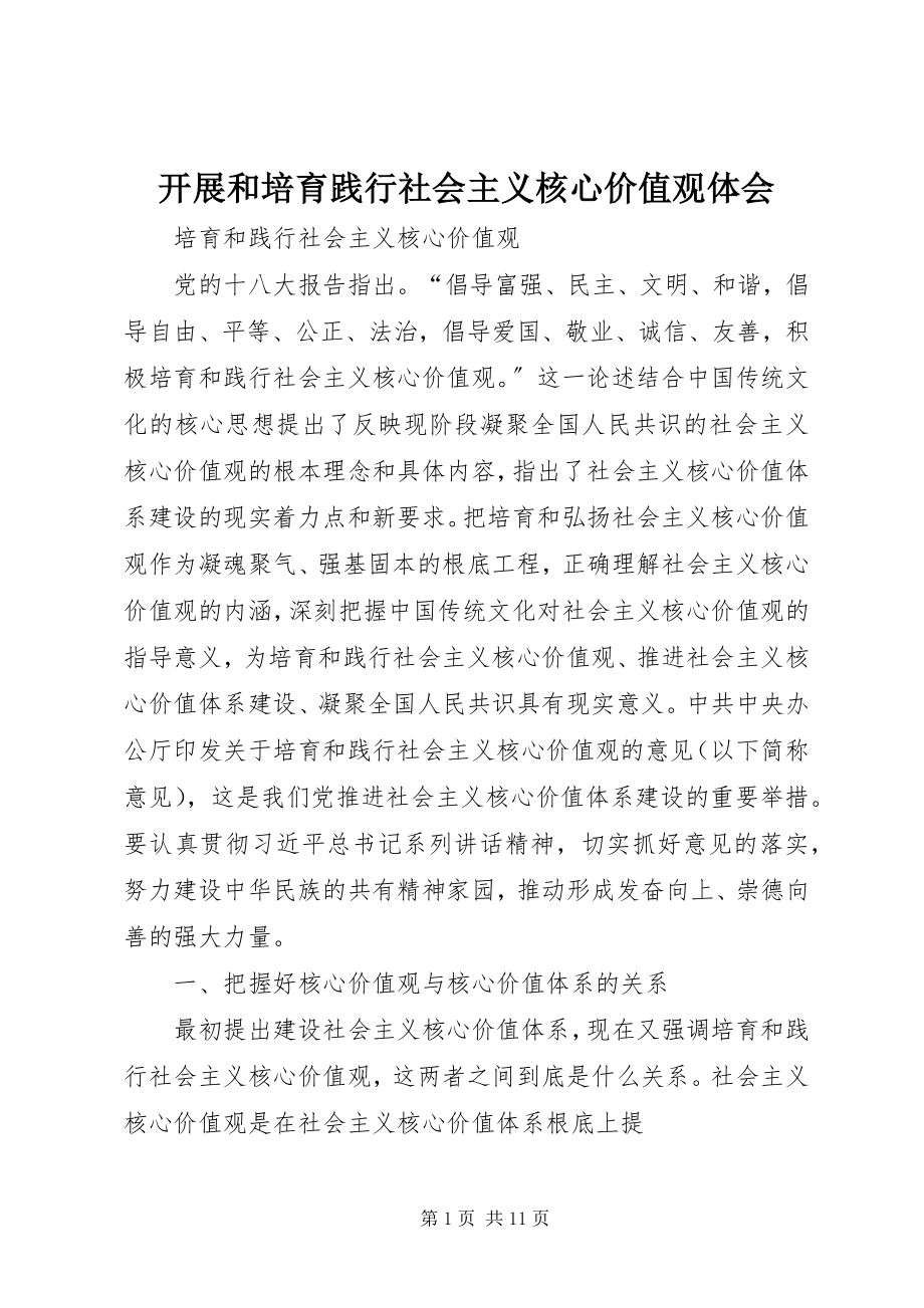 2023年发展和培育践行社会主义核心价值观体会.docx_第1页