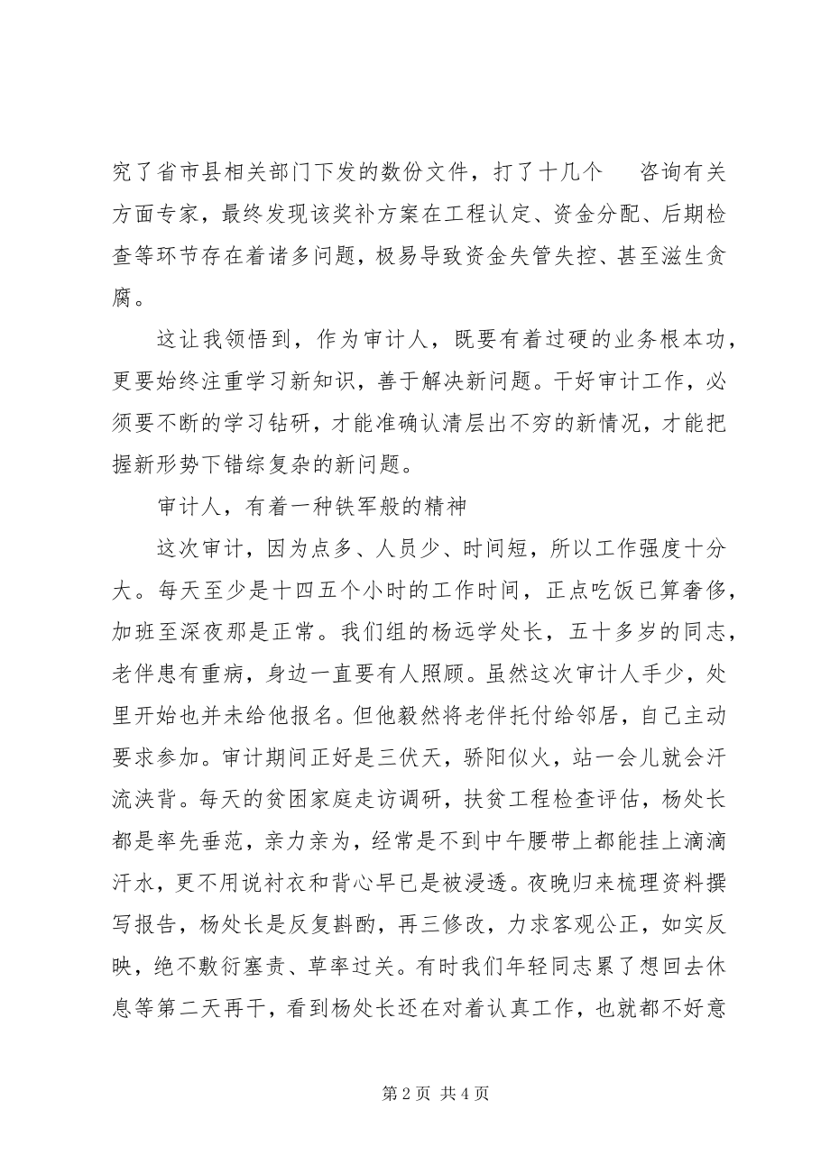 2023年审计调查心得体会.docx_第2页