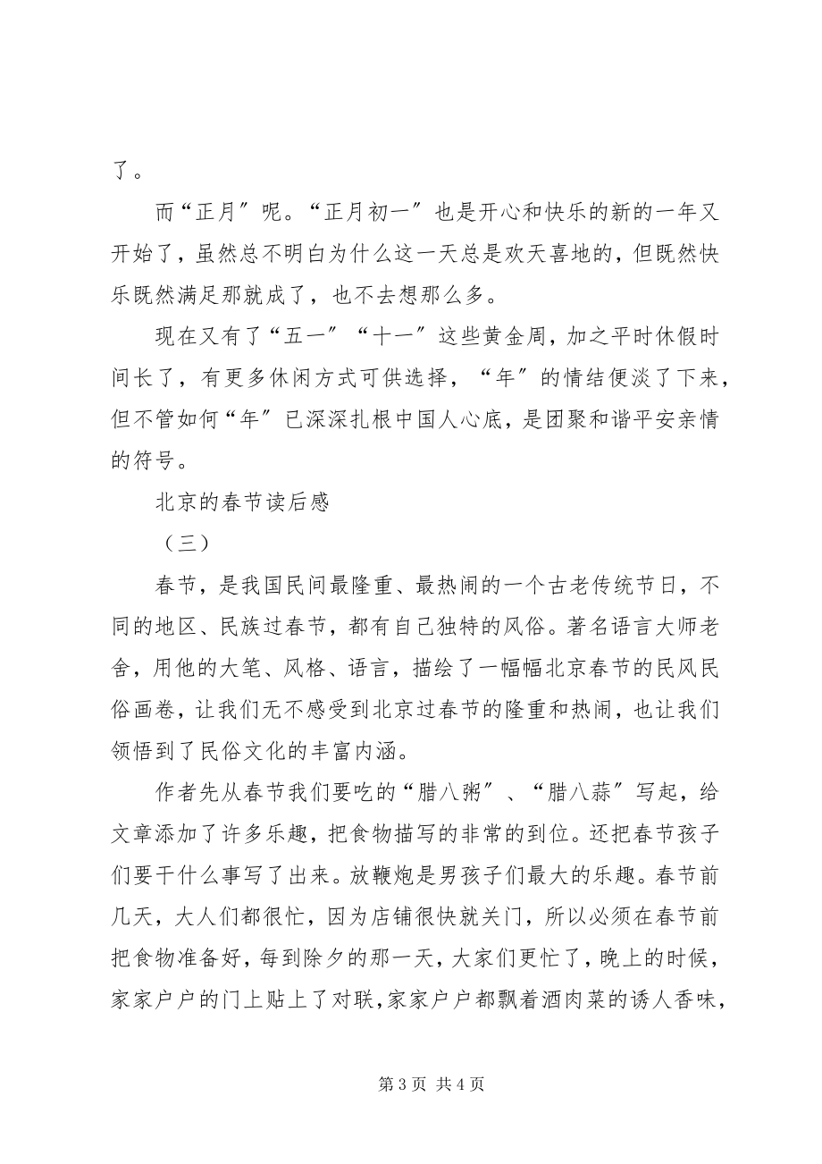 2023年北京的春节读后感北京的春节读后感新编.docx_第3页