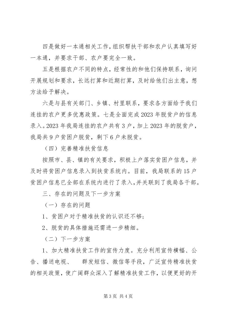 2023年精准扶贫主题工作总结.docx_第3页