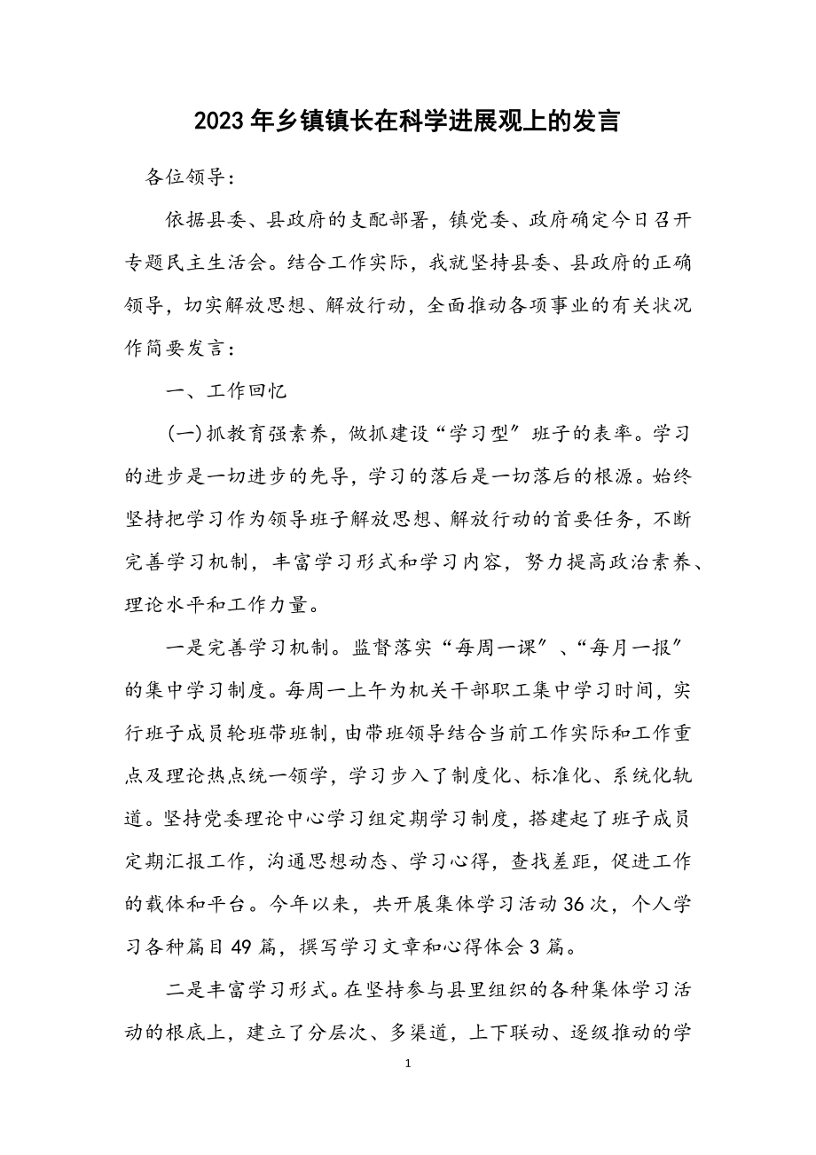 2023年乡镇镇长在科学发展观上的发言.docx_第1页