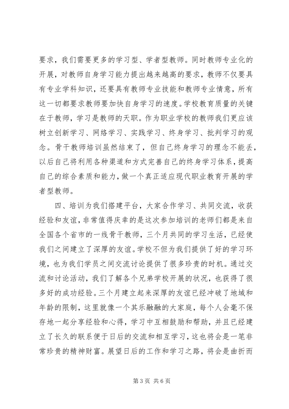 2023年国家级培训总结.docx_第3页