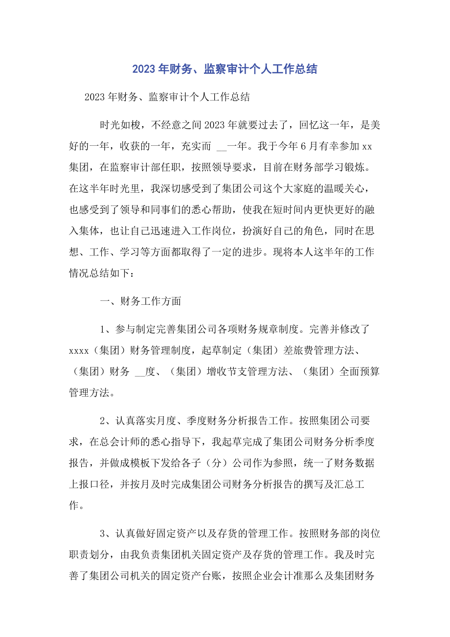 2023年财务监察审计个人工作总结.docx_第1页