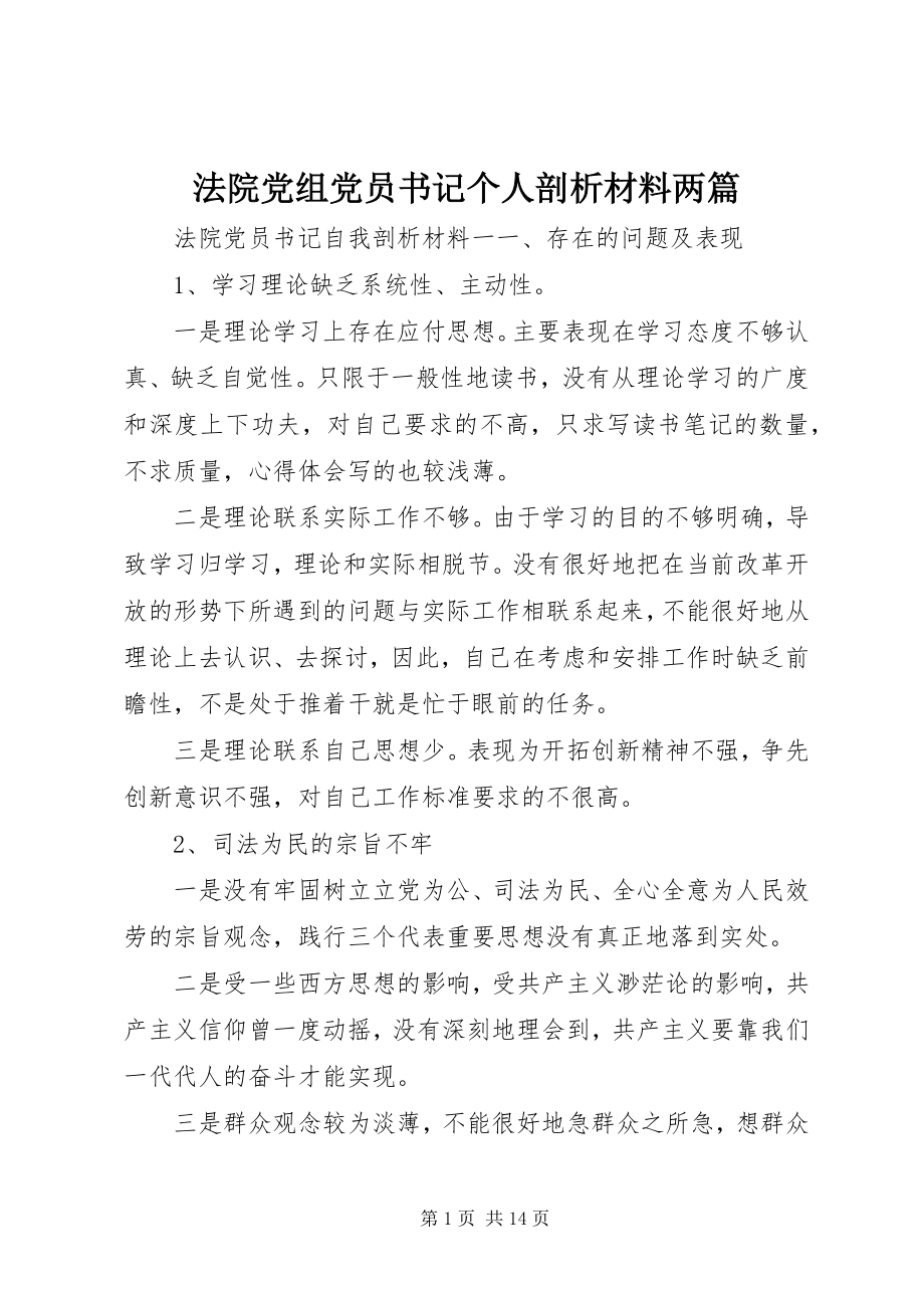 2023年法院党组党员书记个人剖析材料两篇.docx_第1页