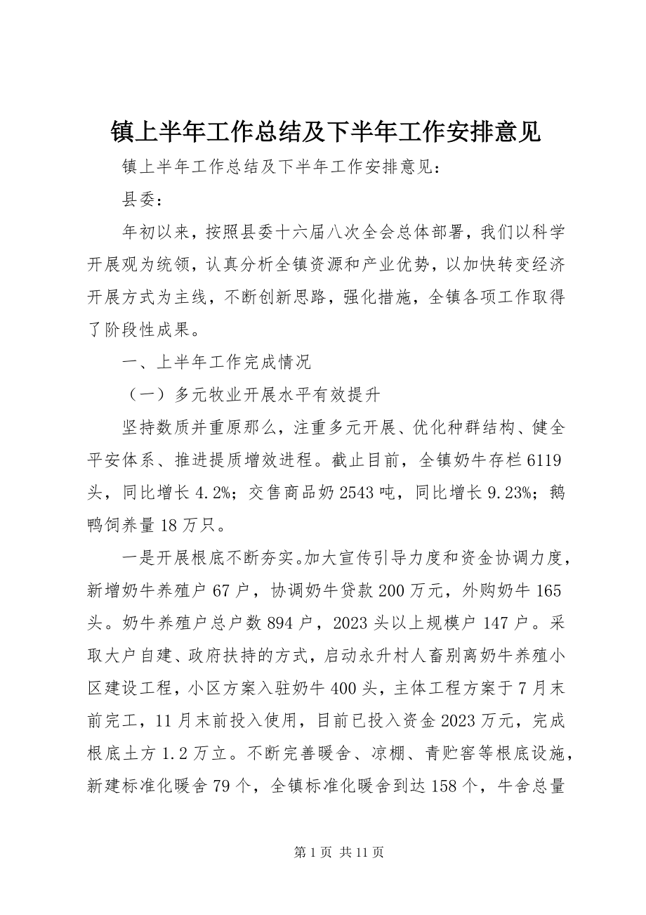 2023年镇上半年工作总结及下半年工作安排意见.docx_第1页