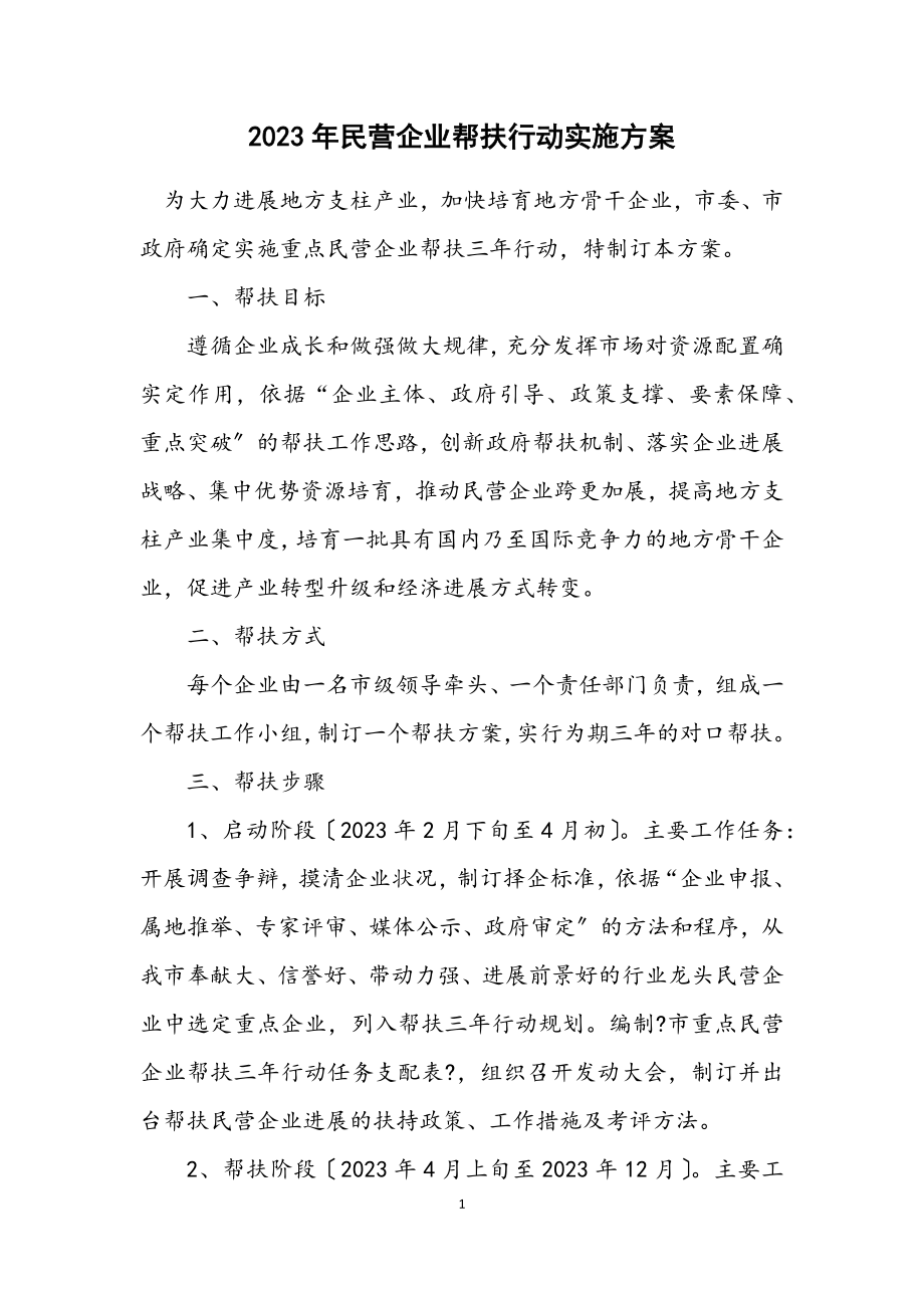 2023年民营企业帮扶行动实施方案.docx_第1页