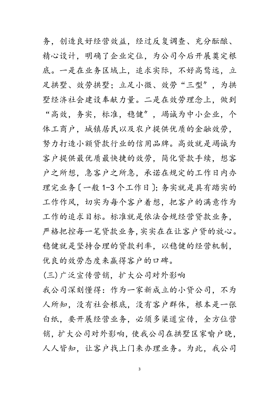 2023年小额贷款股份公司年度工作总结范文.doc_第3页