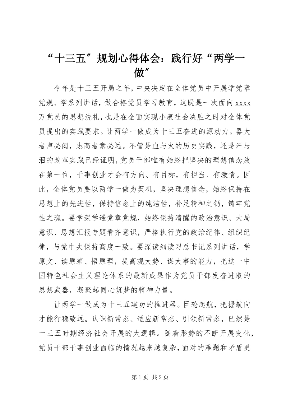 2023年“十三五”规划心得体会践行好“两学一做”新编.docx_第1页